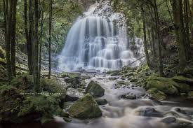 nelson falls Nelson Falls Tasmania